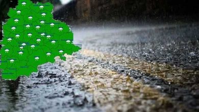 Light to moderate rain likely in Telangana on Nov 12-14: Met