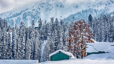 Intense Cold Wave Grips Jammu and Kashmir: Night Temperatures Dip Further