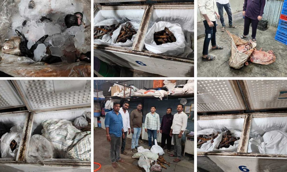 Spoiled Meat Supply: Hyderabad Trader Arrested for Selling Weeks-Old Meat to Hotels and Events!