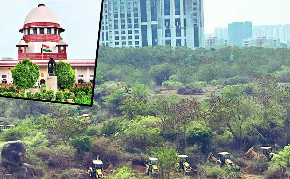 Kancha Gachibowli Mass Tree Felling: Supreme Court Seeks Interim Report from Telangana High Court