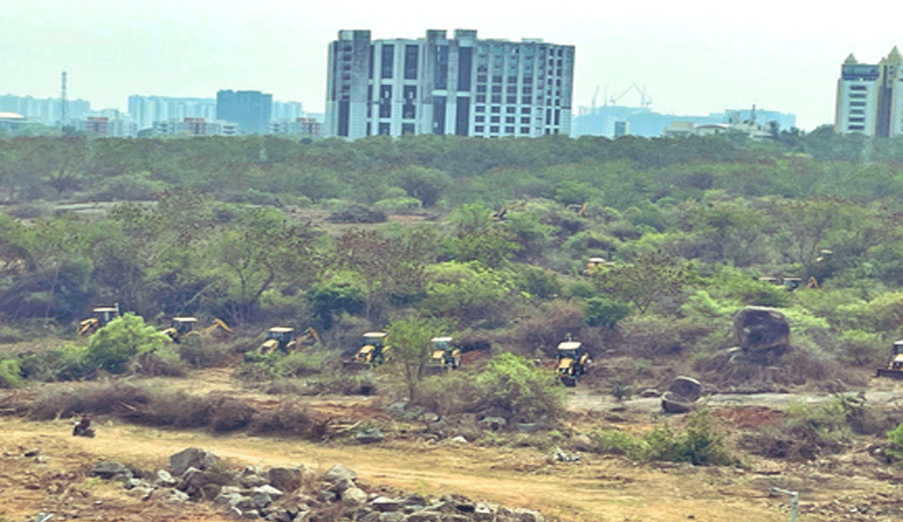 Telangana HC Halts Tree Felling Near HCU Again – Next Hearing on April 7!