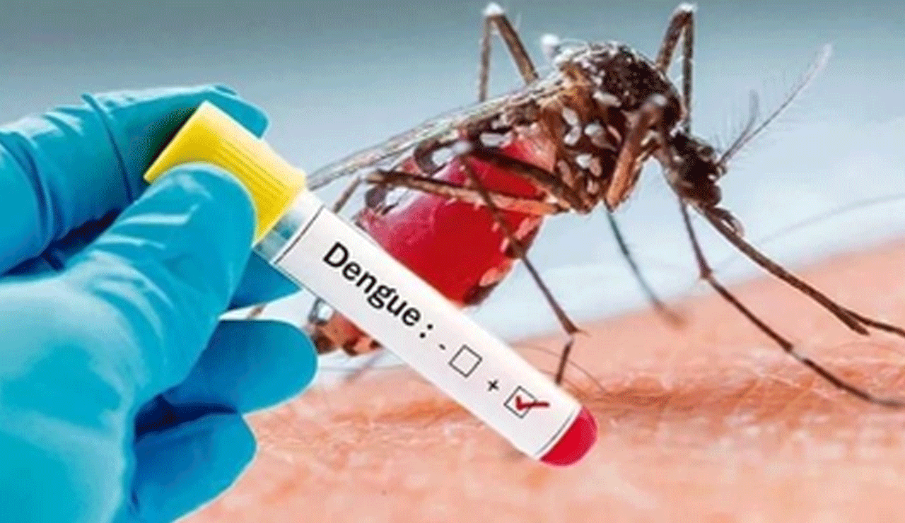 Bangladesh Records 13 More Dengue Cases in 2025: Total Reaches 1,890