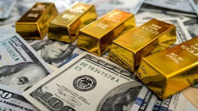 India’s Forex Reserves Near Record High, Rise to $676.3 Billion