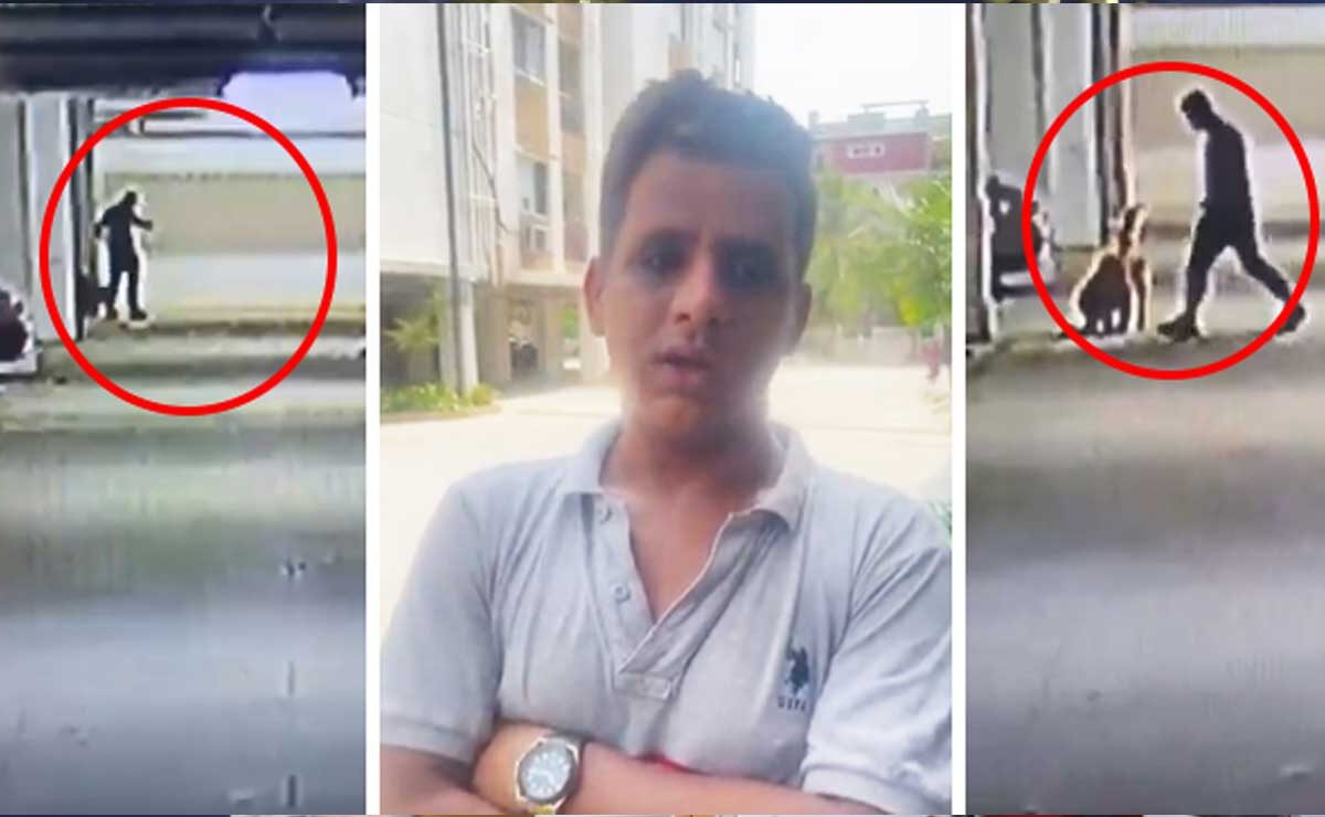 Hyderabad Shocker: Man, Brutally Kills 5 Puppies by Smashing Them Against Wall, CCTV Footage Goes Viral