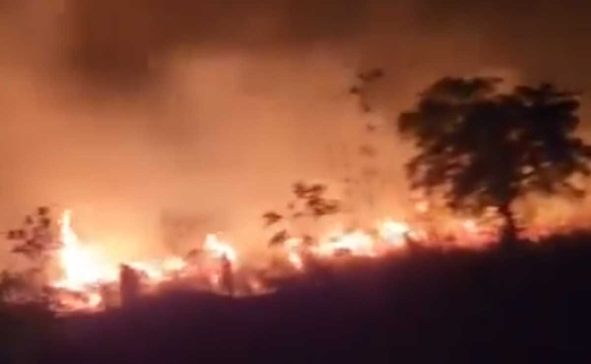Massive Blaze Engulfs Khammam’s Velugumatla Urban Park, 30 Acres of Plants Destroyed