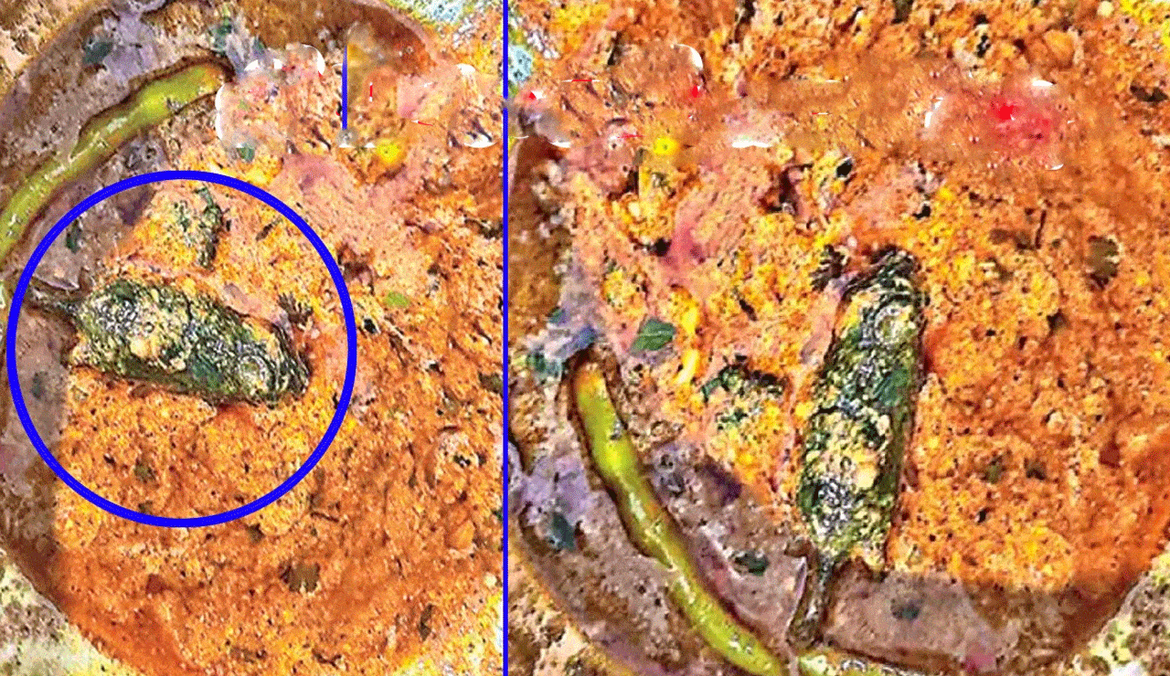 Family Discovers Shocking Black Object at the Bottom of Takeaway Curry from Hotel – Here’s What It Was!