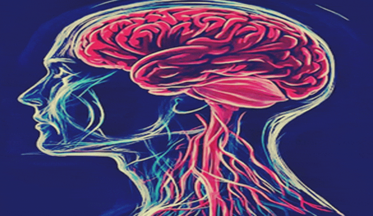 Air pollution exposure raises brain stroke risk in older adults: Study