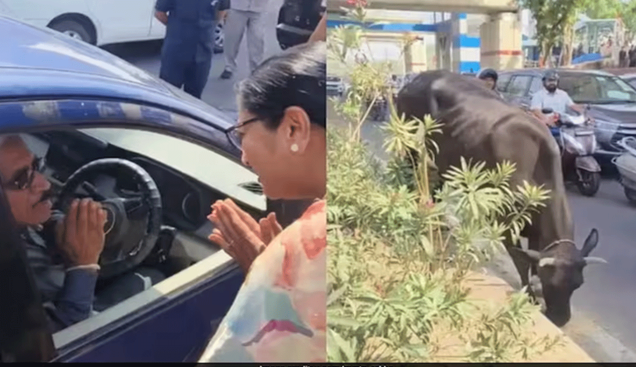 Delhi CM Stops Convoy to Confront Man Throwing Rotis for Cows on Road – Video Goes Viral