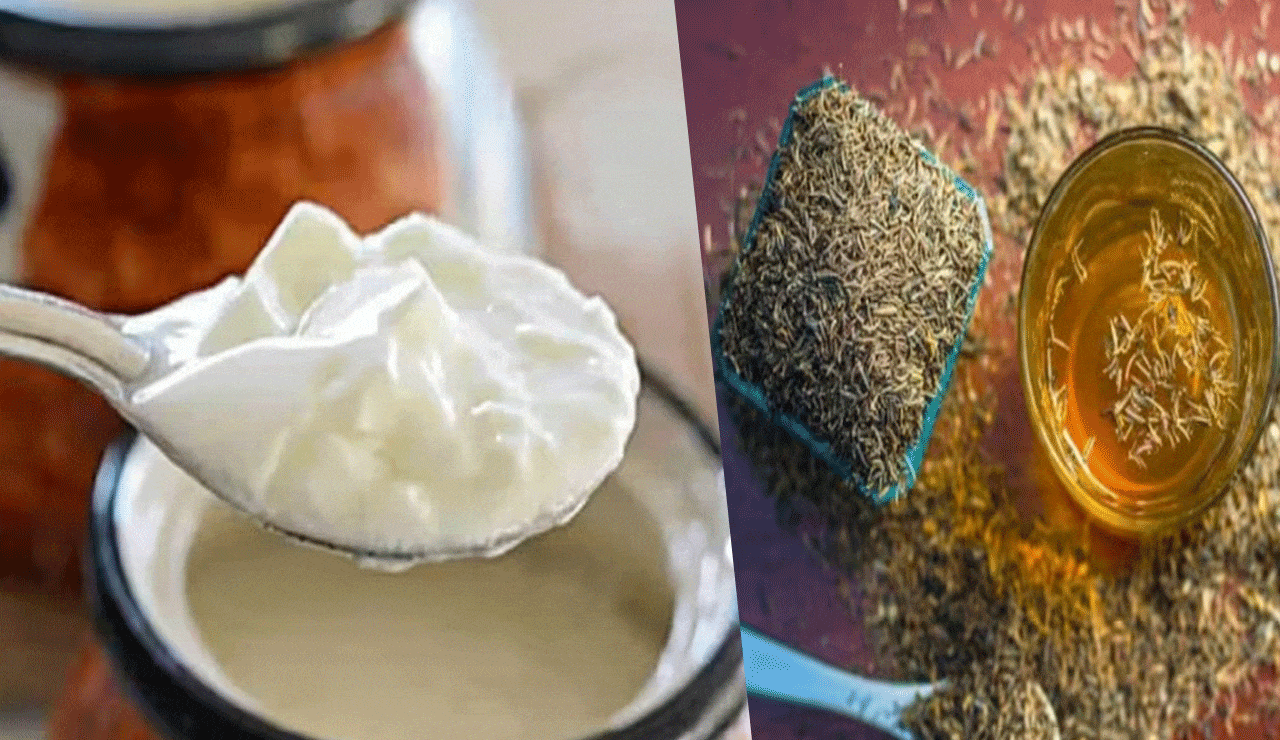 Weight Loss Tips: Mix Cumin in Yogurt Daily – No Gym Needed, Size Zero Guaranteed!