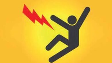 Hyderabad Shock Incident: Engineer Electrocuted in Shamshabad Mango Orchard