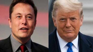 Elon Musk to Step Down from White House Role, Trump Confirms