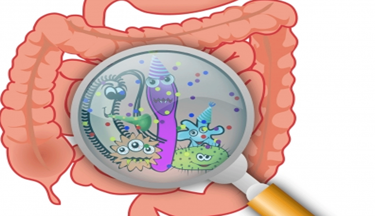 Common gut bacteria can make diabetes, cancer drugs less effective: Study