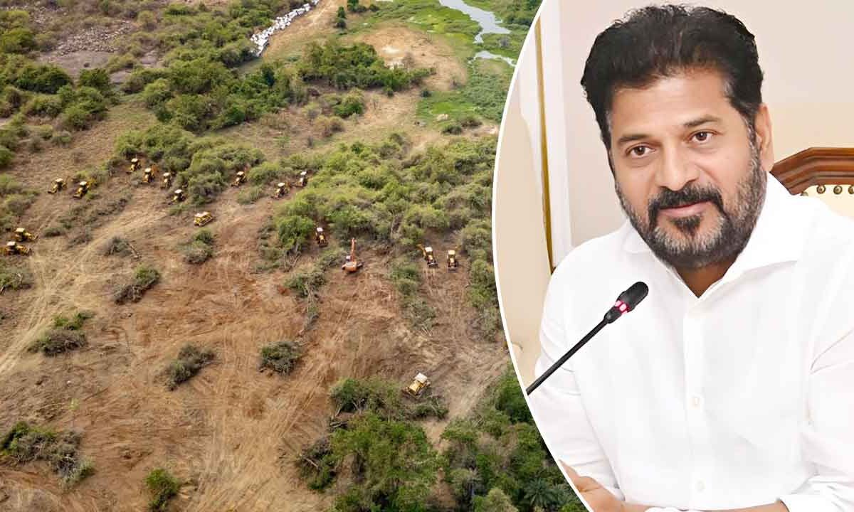 Hyderabad to Get 2,000-Acre World-Class Eco-Park as Government Bows to Environmental and Student Demands