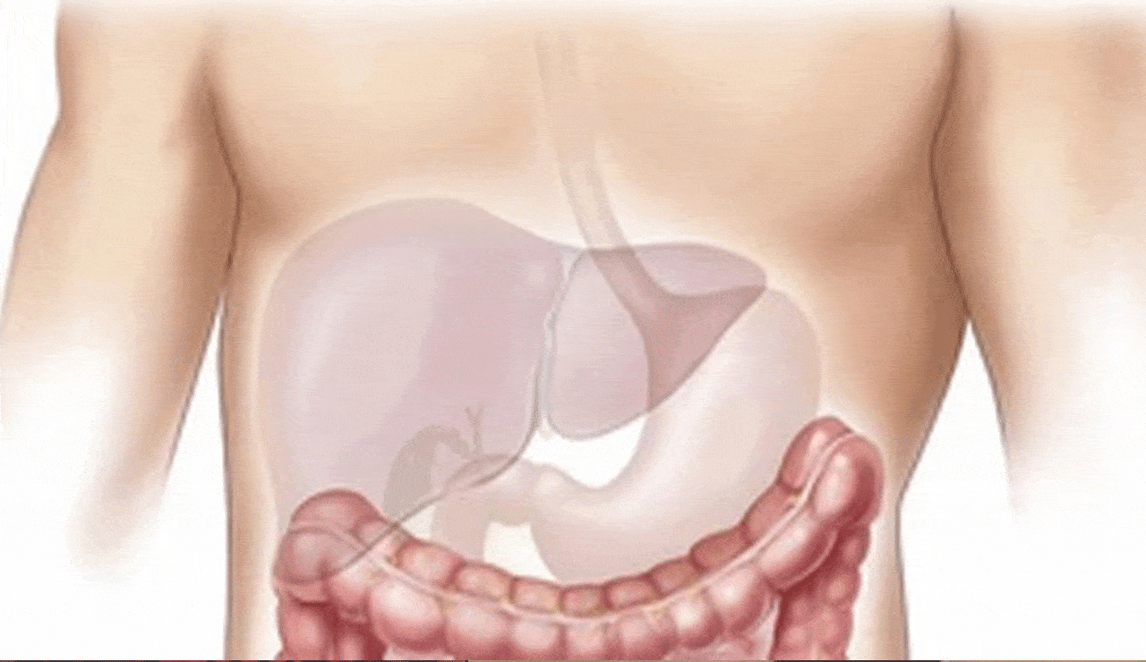 Sleep well, avoid junk food to keep your liver healthy