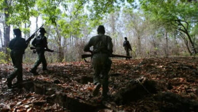 86 Maoists Surrender in Telangana, Police Cite Growing Trust in Welfare Programs