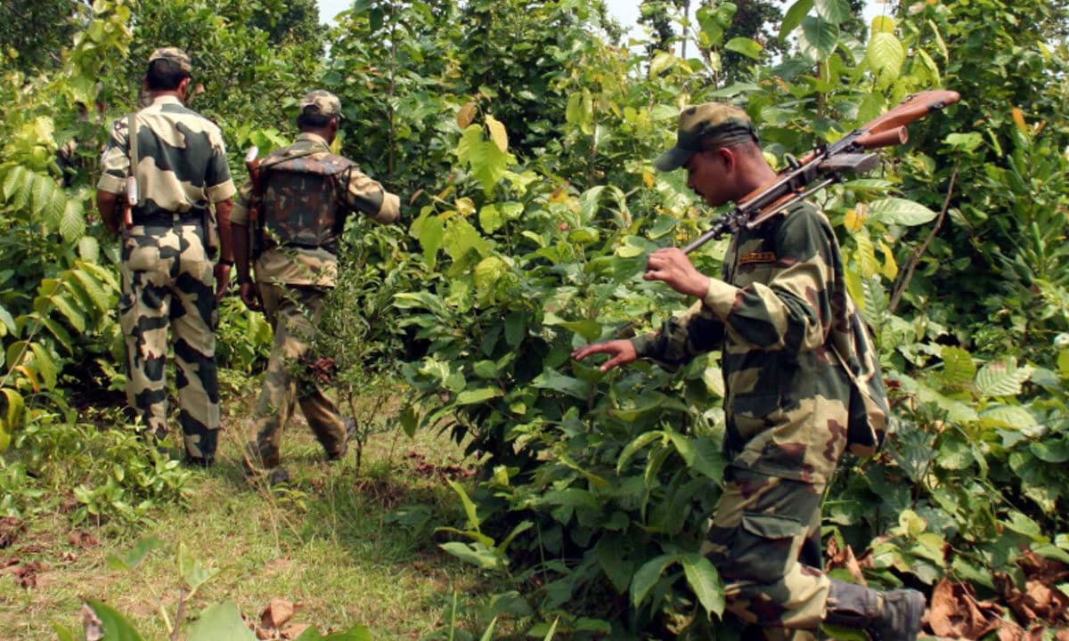 14 Maoists Lay Down Arms in Telangana, Inspired by Government Welfare Schemes