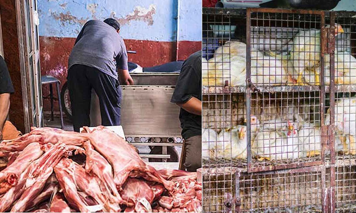 Hyderabad: Shocking News for Non-Veg Lovers – Meat Shops to Remain Closed on April 10