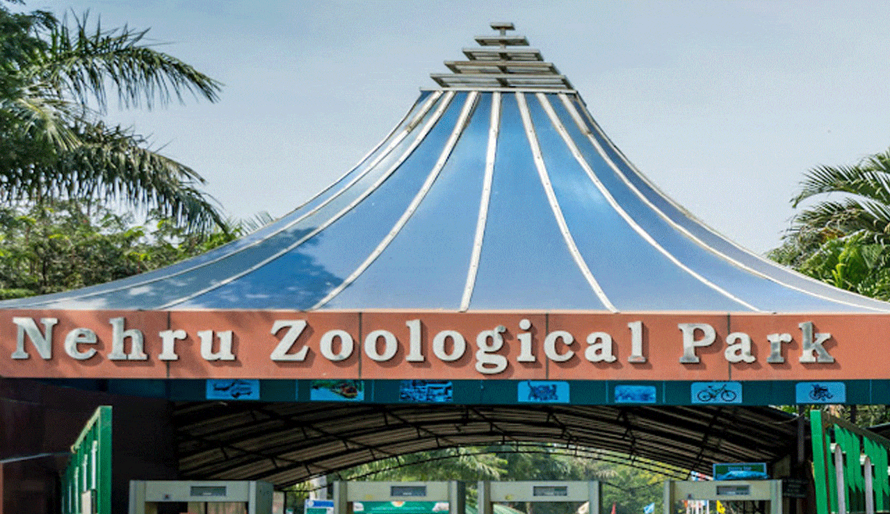 Nehru Zoological Park Hyderabad Announces Summer Camp for Wildlife Enthusiasts