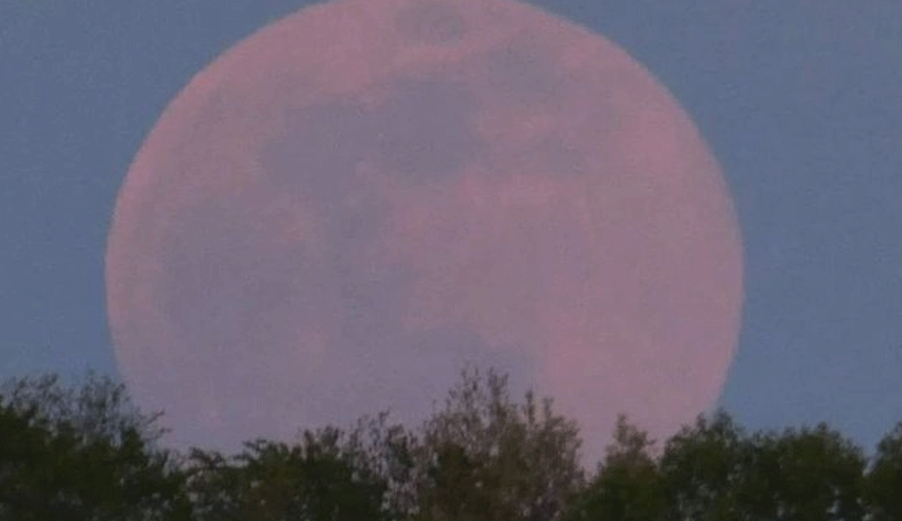 April's Pink Moon: A Celestial Event You Won't Want to Miss This Year