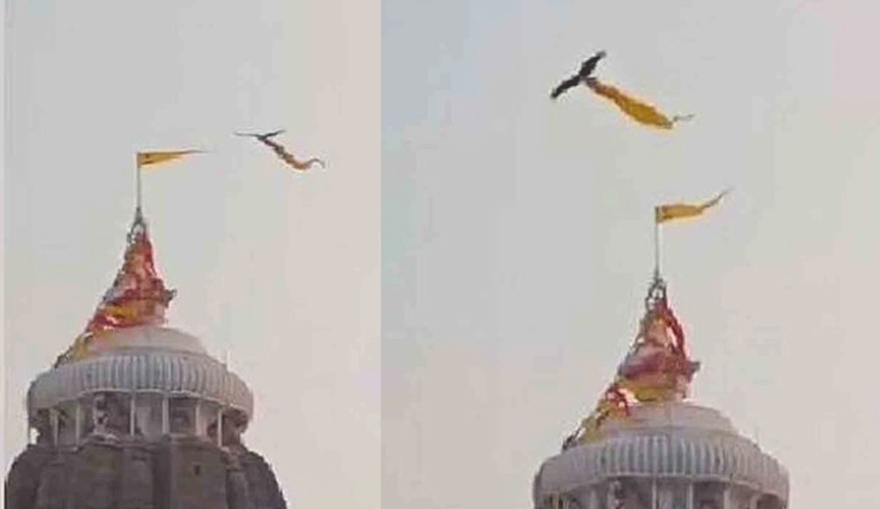 Unexpected Incident at Puri Temple: Eagle Carries Away Patit Pavana Flag from Spire - VIDEO"