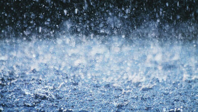 Telangana Rain Alert: Thunderstorms Expected in Several Districts