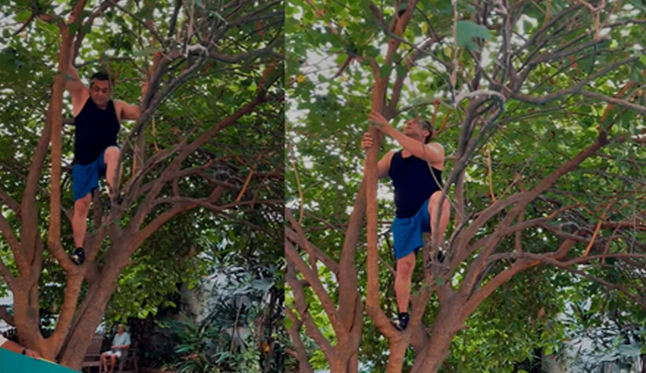 Salman Khan Climbs Tree at 59, Inspires Fans with Fitness Feat