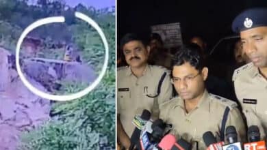 Telangana: Sangareddy Temple Vandalism Blame Game Backfires: Monkeys Behind the Act Not Madarsa Students, Says Police