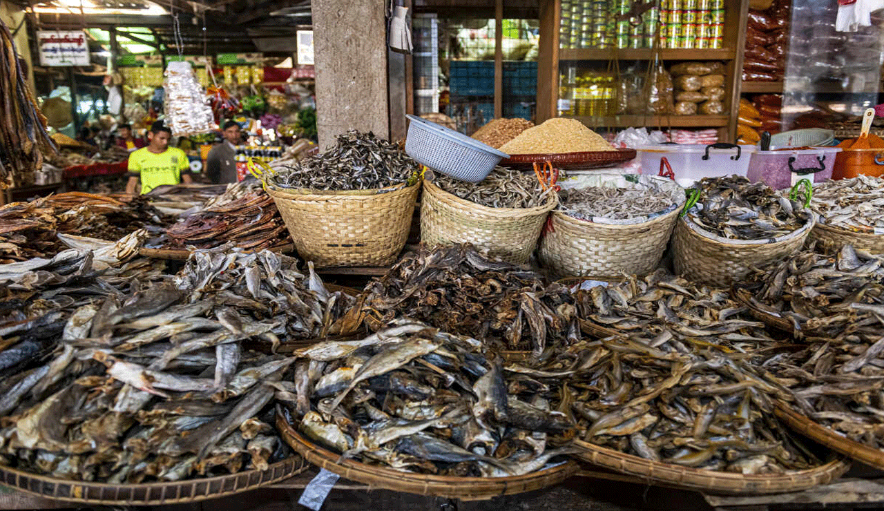 61-Day Fishing Ban Begins in Andhra Pradesh; Fisherwomen Struggle as Prices Spike
