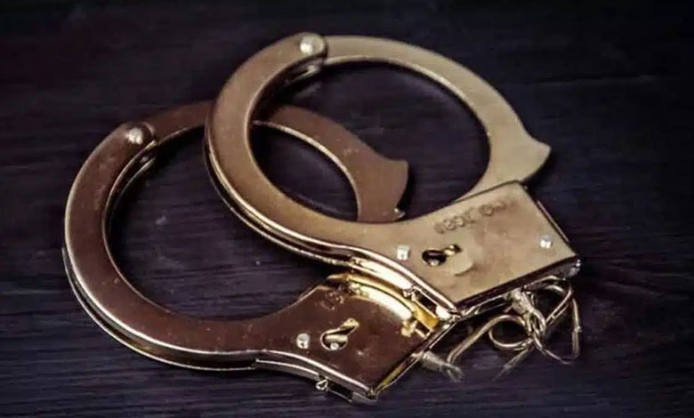 Wildlife Crime in Asifabad: Female Tiger Electrocuted, 15 Suspects in Custody