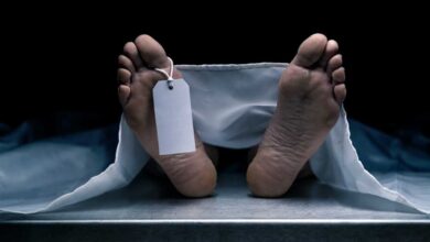 Telangana Road Accident: Man Killed After Bike Skids in Medchal
