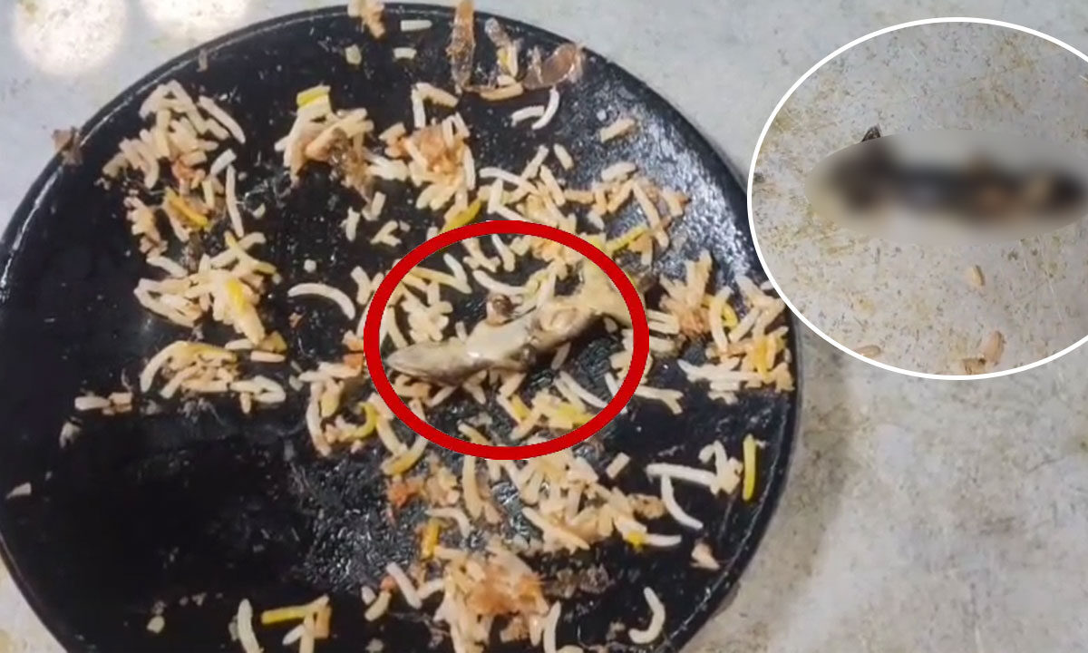 Lizard Found in Chicken Biryani at AR MEHFIL Family Restaurant in Ibrahimpatnam, Triggers Outrage
