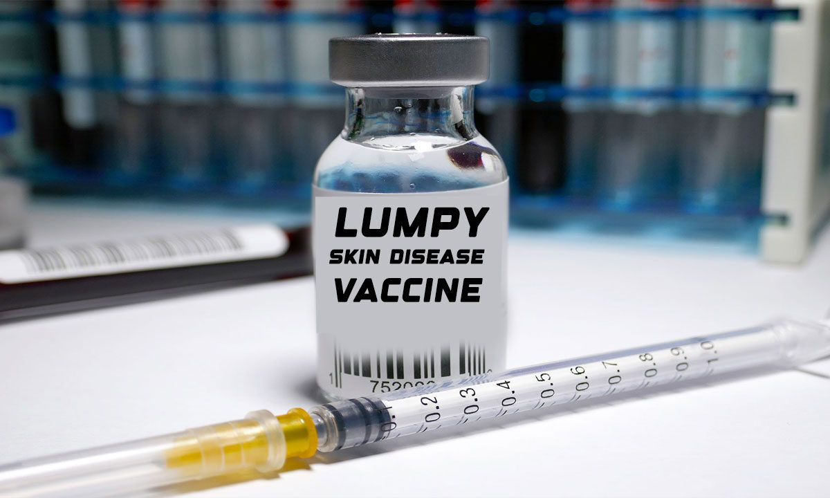 Bharat Biotech Subsidiary Biovet Launches Indigenous Vaccine for Lumpy Skin Disease