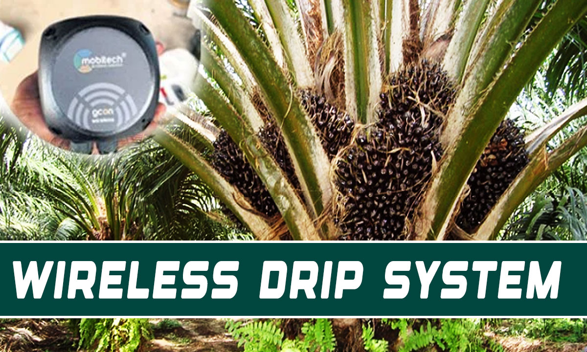 Telangana Farmer Controls Oil Palm Farm Remotely as India’s First Wireless Drip System Goes Live