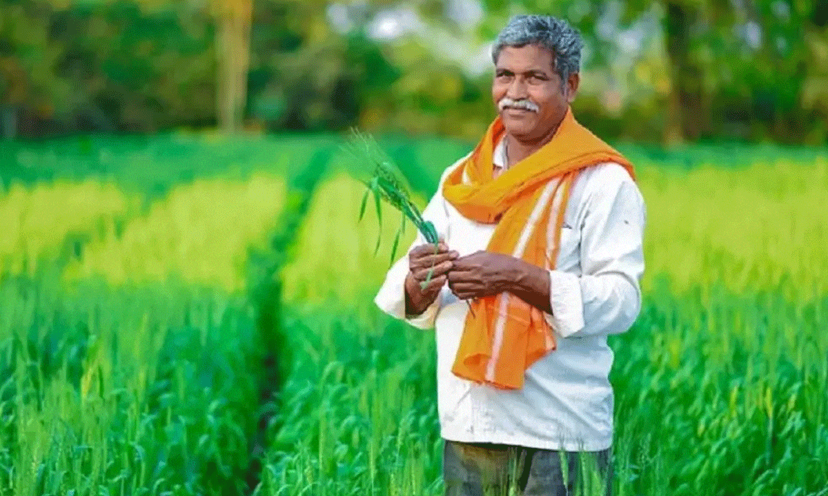 PM-KISAN 20th Installment Coming Soon: 7 Key Details Required for Enrollment