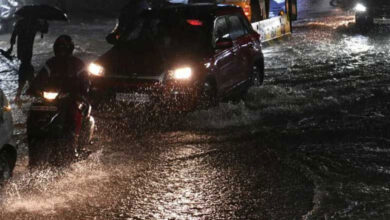 Heavy Rainfall in Telangana Brings Much-Needed Relief to Farmers After Dry Spell