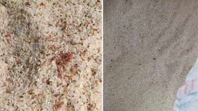 Telangana: Worm-Infested Ration Rice Sparks Outrage, Women Question Government