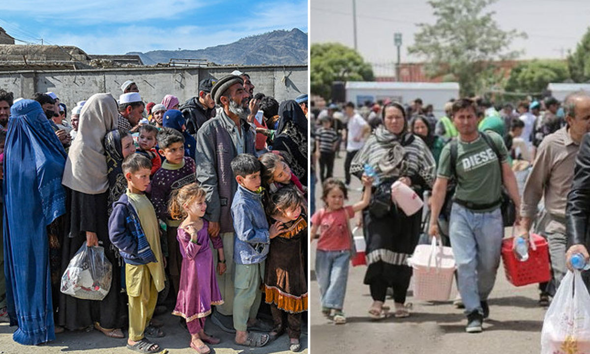 Why Are Afghan Refugee Families Returning Home in Large Numbers from Iran?