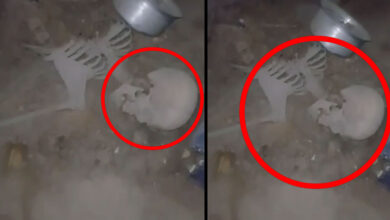 Hyderabad Shocker: Human Skeleton Found in Nampally Locked House Near Murgi Market