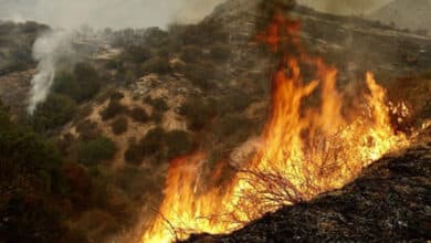 Fast-moving wildfire forces evacuations in Southern California