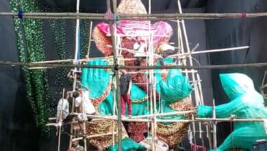 26-foot-tall apple Ganesh idol to mark golden jubilee of Natraj Club in Sambalpur