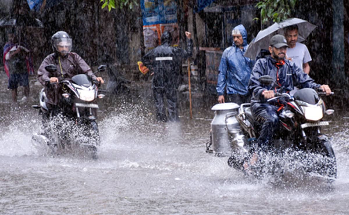 Heavy rain wreaks havoc in Rajasthan; schools, colleges closed in Jodhpur today