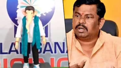 Hyderabad BJP MLA Raja Singh Demands Action Over Ganesh Idol Resembling CM Revanth Reddy