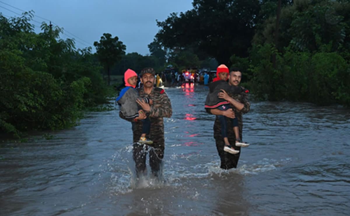 Telangana's Kamareddy, Medak receive highest rainfall in 50 years