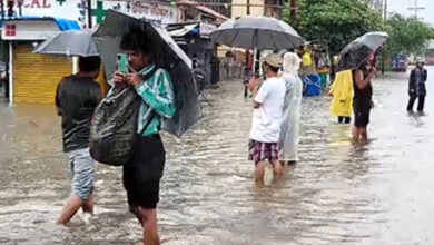 8 die as rain batters Maharashtra; heavy forecast in Mumbai, Thane, Palghar