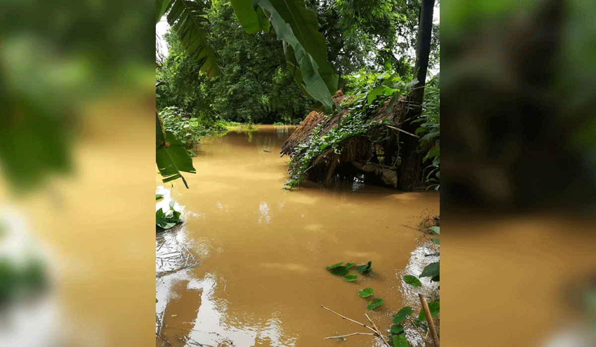 IMD issues heavy rainfall warning for Odisha amid flood crisis