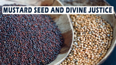 Mustard Seed and Divine Justice: Dr. Muhammad Iqtedar Husain Farooqi       