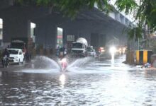 Heavy Rains in Hyderabad Turn Roads into Rivers, IMD Warns of More Showers Till Sept 2