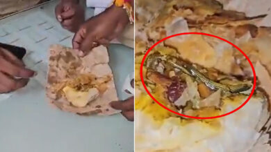 Hyderabad Horror: Snake Found in Curry Puff at Bakery, Woman Lodges Police Complaint: Video