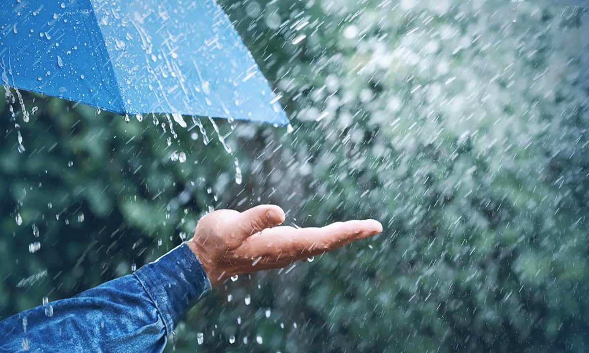 IMD Issues Yellow Alert: Heavy Rainfall, Thunderstorms Expected Across Telangana