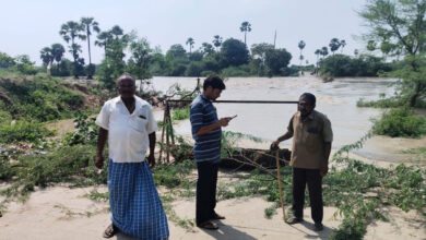 Local pond in Atma Koram mandal of Yadadri Bhongir district submerged